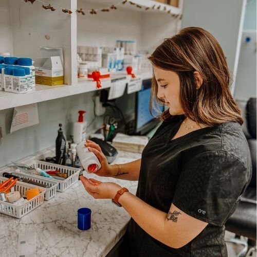 A woman is kneeling down next to a brown and white dog