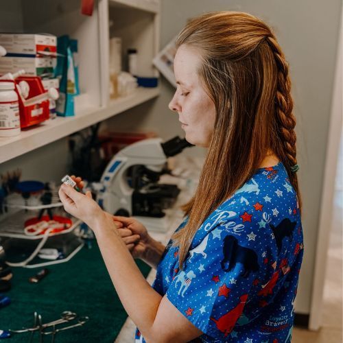 A woman is kneeling down next to a brown dog
