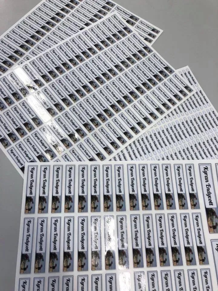 A bunch of stickers with the name ryan on them