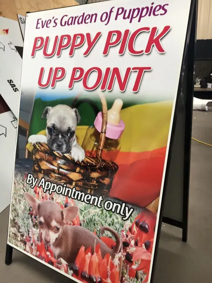 A sign for eve 's garden of puppies puppy pick up point