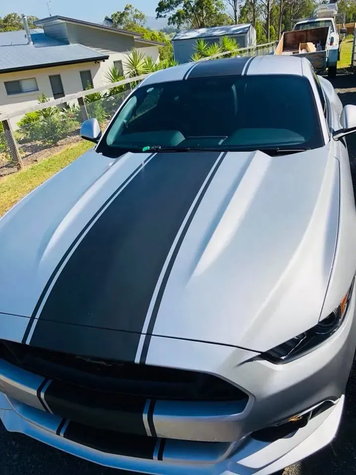 A silver mustang with black stripes on the hood is parked on the side of the road.