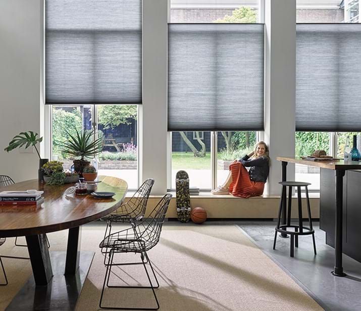 Interior with window shades; person sitting in window, gazing out. Table, chairs, and plants visible.