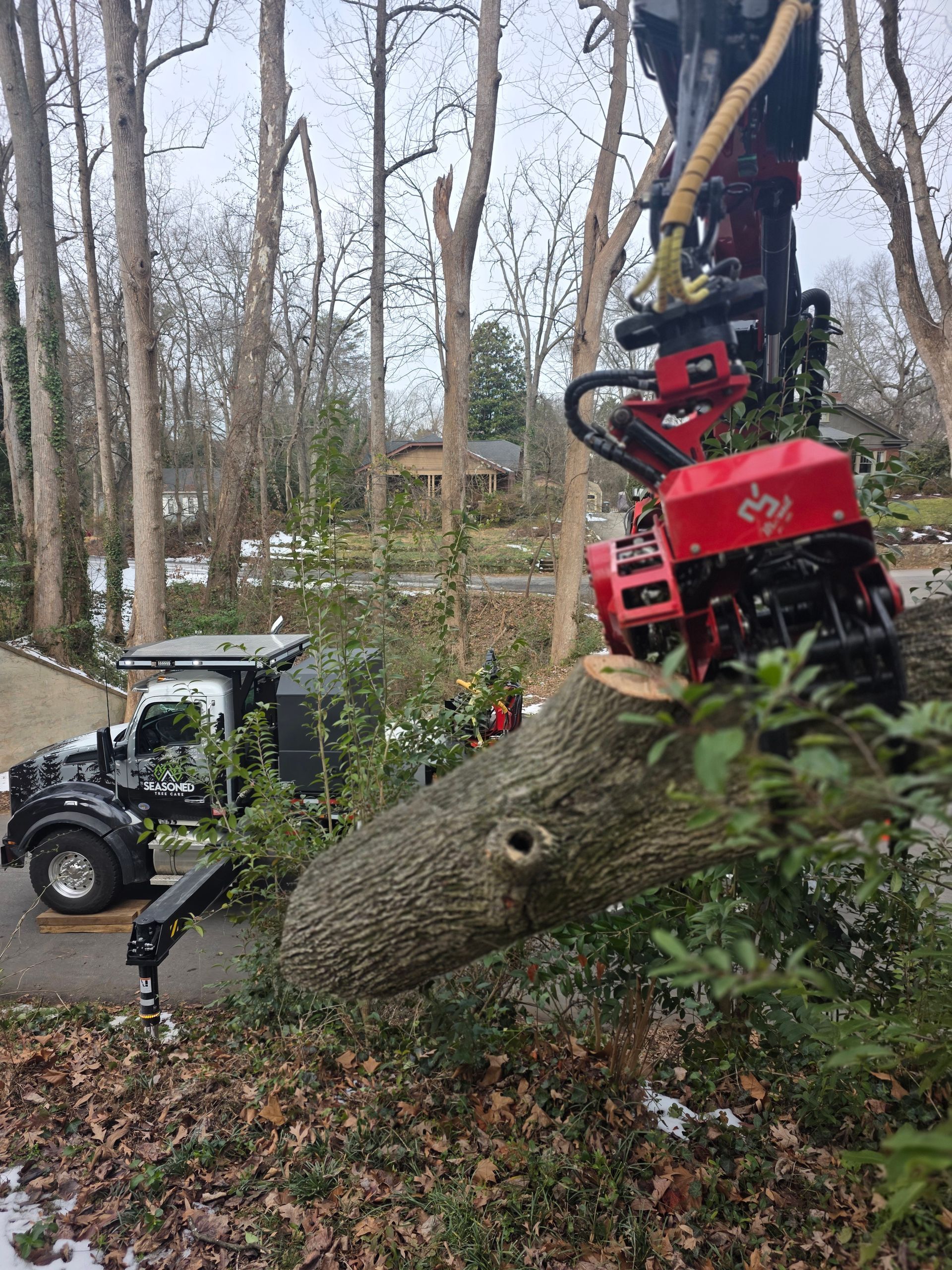 Tree-cutting machine lifting a large trunk beside a small vehicle in a wooded area