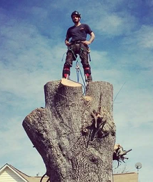 Man standing on a large tree stump holding a chainsaw, with a blue sky and house roof in the background