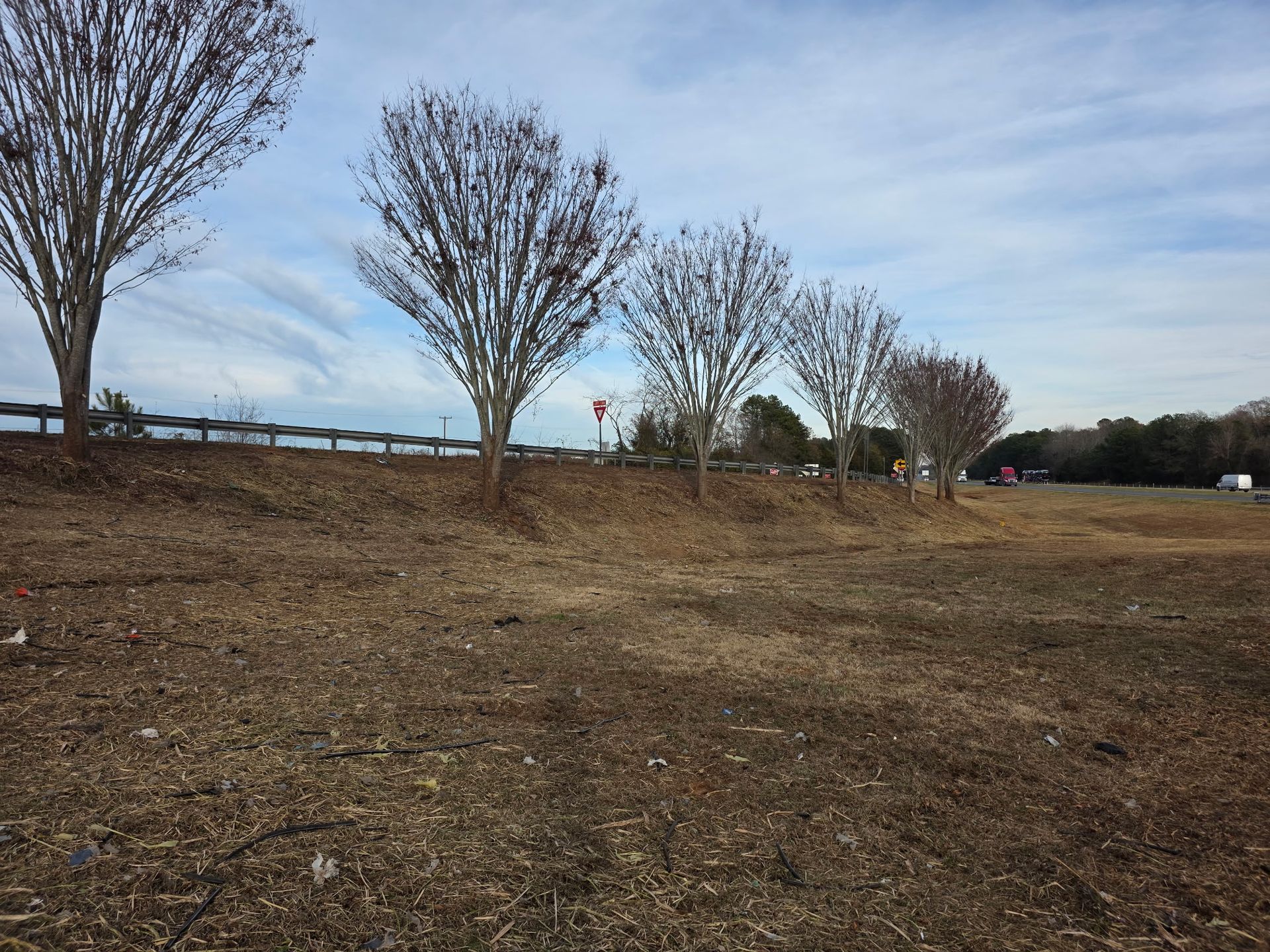 Open grassy field with leafless trees under a cloudy sky