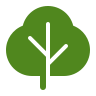 Tree Removal
