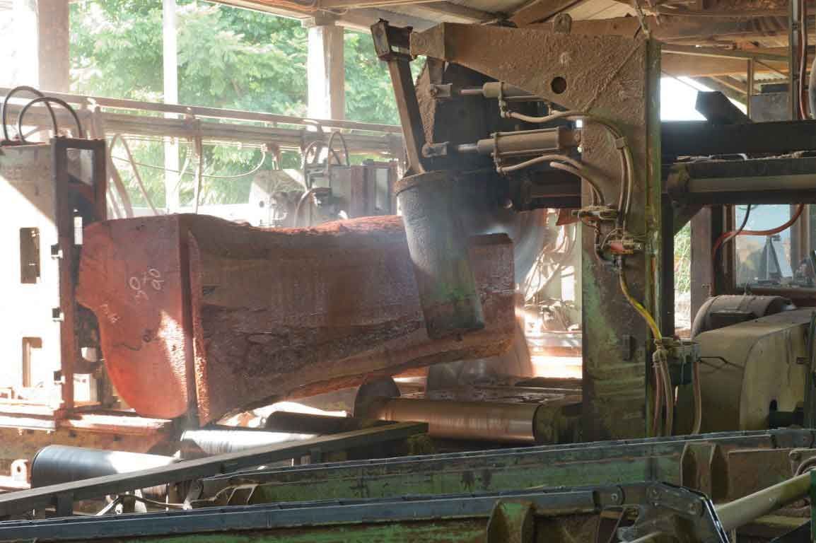 A Machine Is Cutting A Piece Of Wood In A Factory – Beaudesert, QLD - Enrights Sawmill