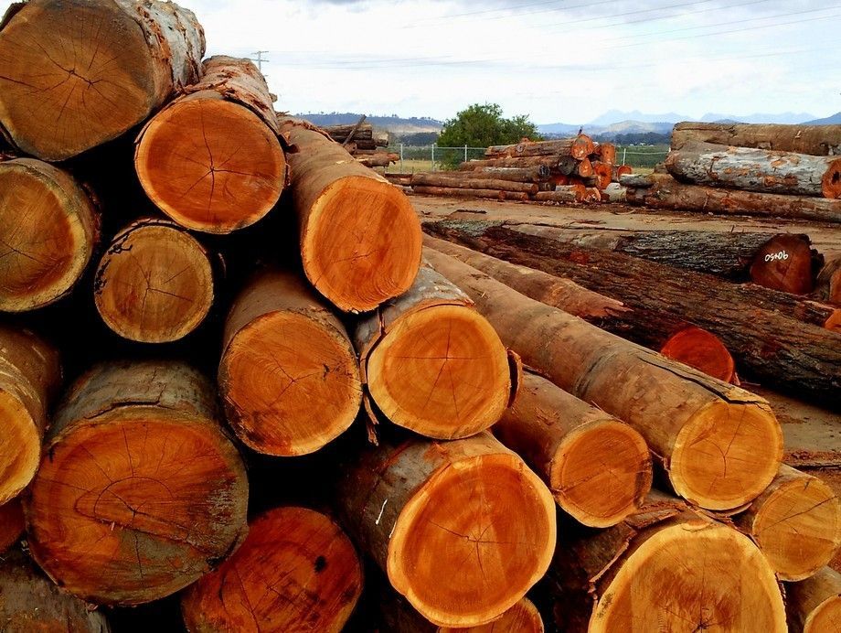 A Pile Of Logs Are Stacked On Top Of Each Other In A Field – Beaudesert, QLD - Enrights Sawmill