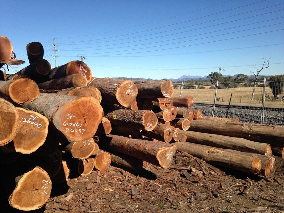 A Pile Of Logs With One That Has The Number 55 On It – Beaudesert, QLD - Enrights Sawmill