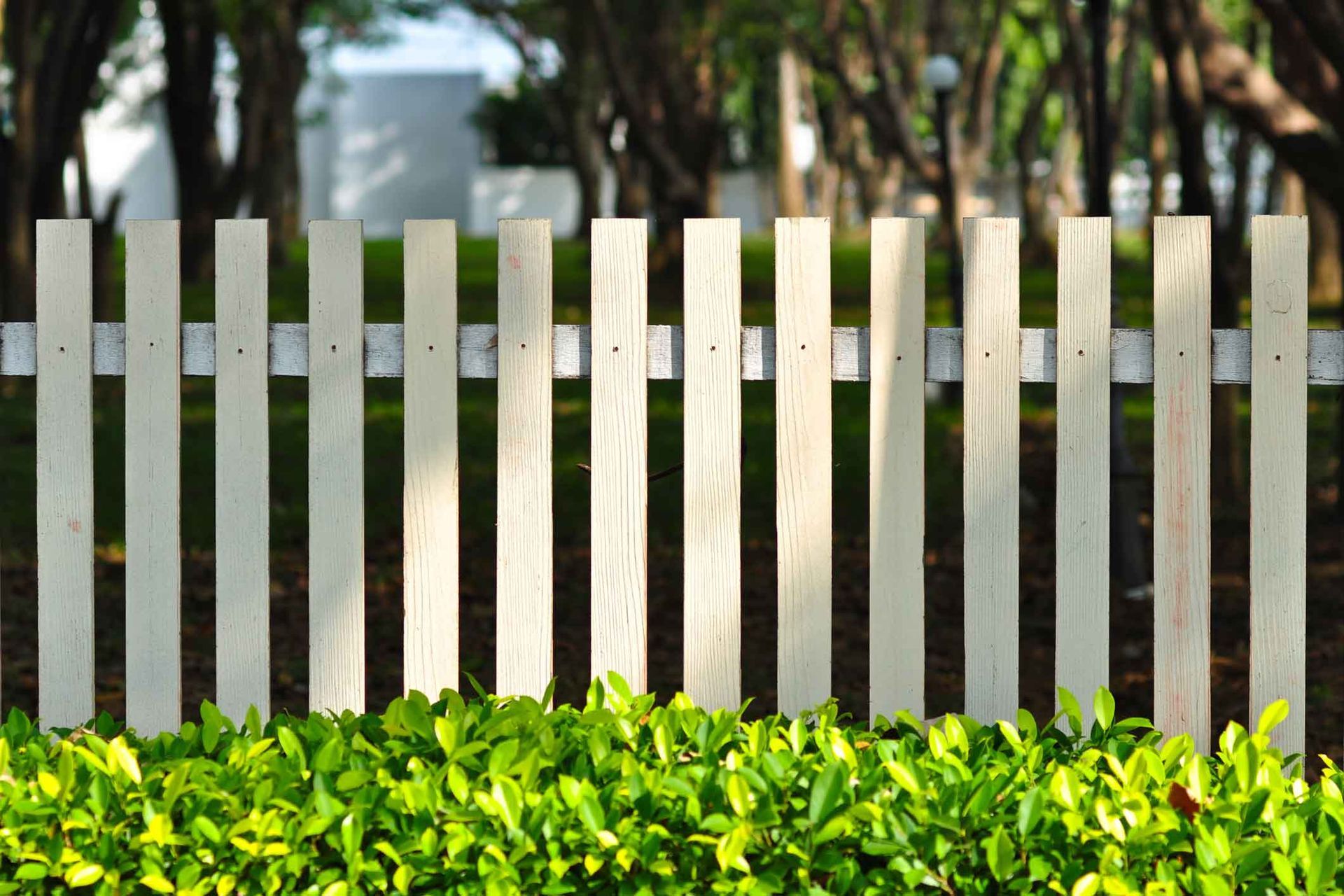 A White Picket Fence Surrounds A Hedge In A Park – Beaudesert, QLD - Enrights Sawmill