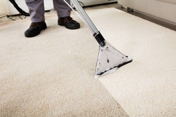 A person uses a professional carpet cleaning wand to clean a beige carpet, showing a clear contrast between dirty and clean.