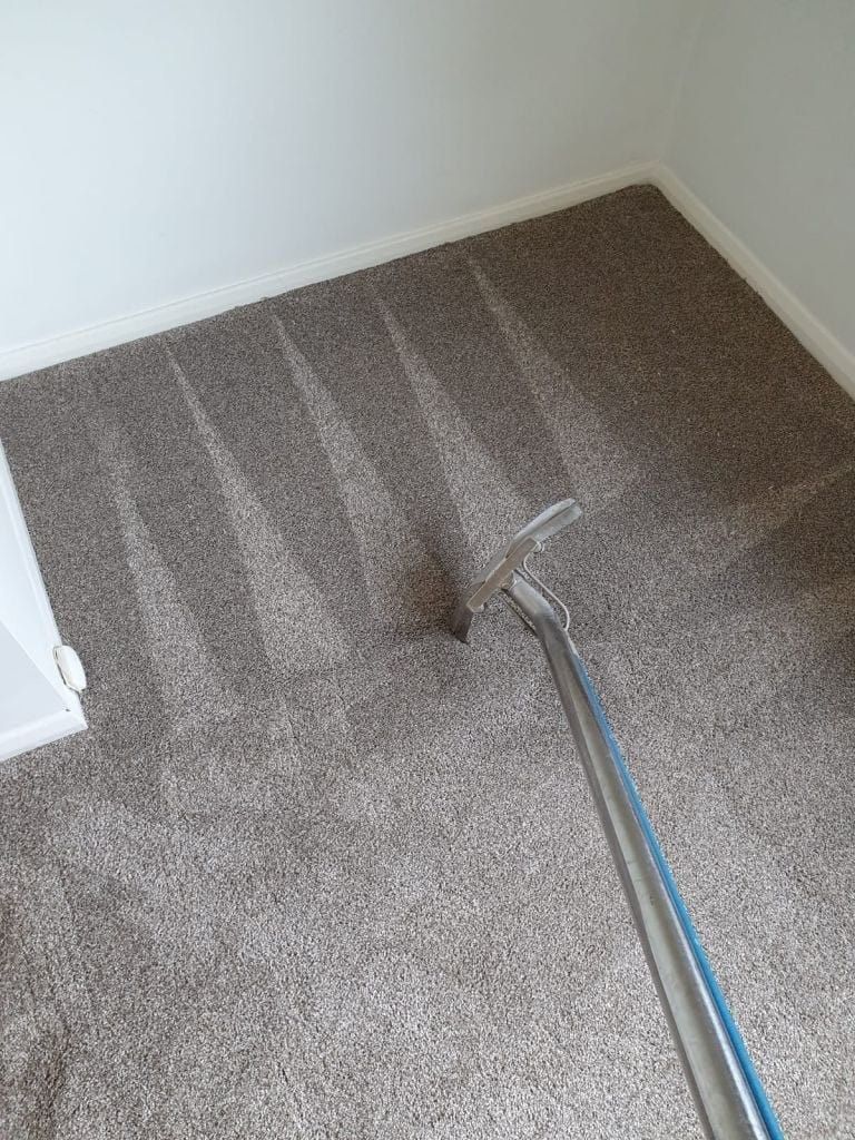 A carpet cleaning wand rests on a plush, brown carpet, showing dark, cleaned stripes against the surrounding dirty fibers.