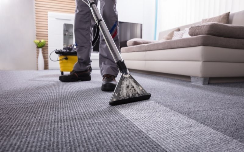 A professional cleaner uses a steam vacuum to clean a grey carpet in a living room near a beige sofa.