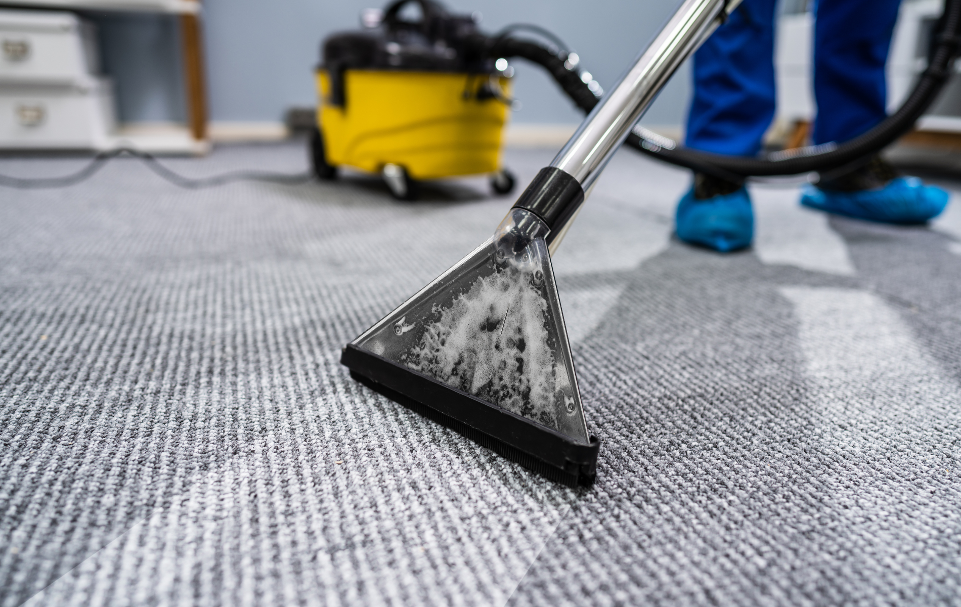 A professional cleaner uses a yellow wet-dry vacuum with a triangular nozzle to deep clean a gray patterned carpet.