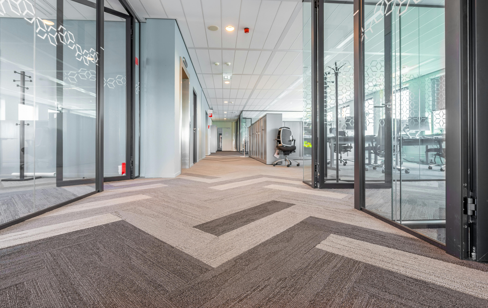 A low-angle view of a modern office hallway with glass-walled rooms, patterned carpet, and bright overhead lighting.