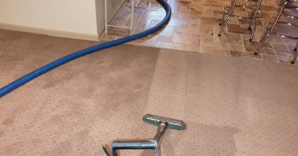 A carpet cleaning tool sits on a beige carpet, showing a clean, lighter section alongside an uncleaned darker area.
