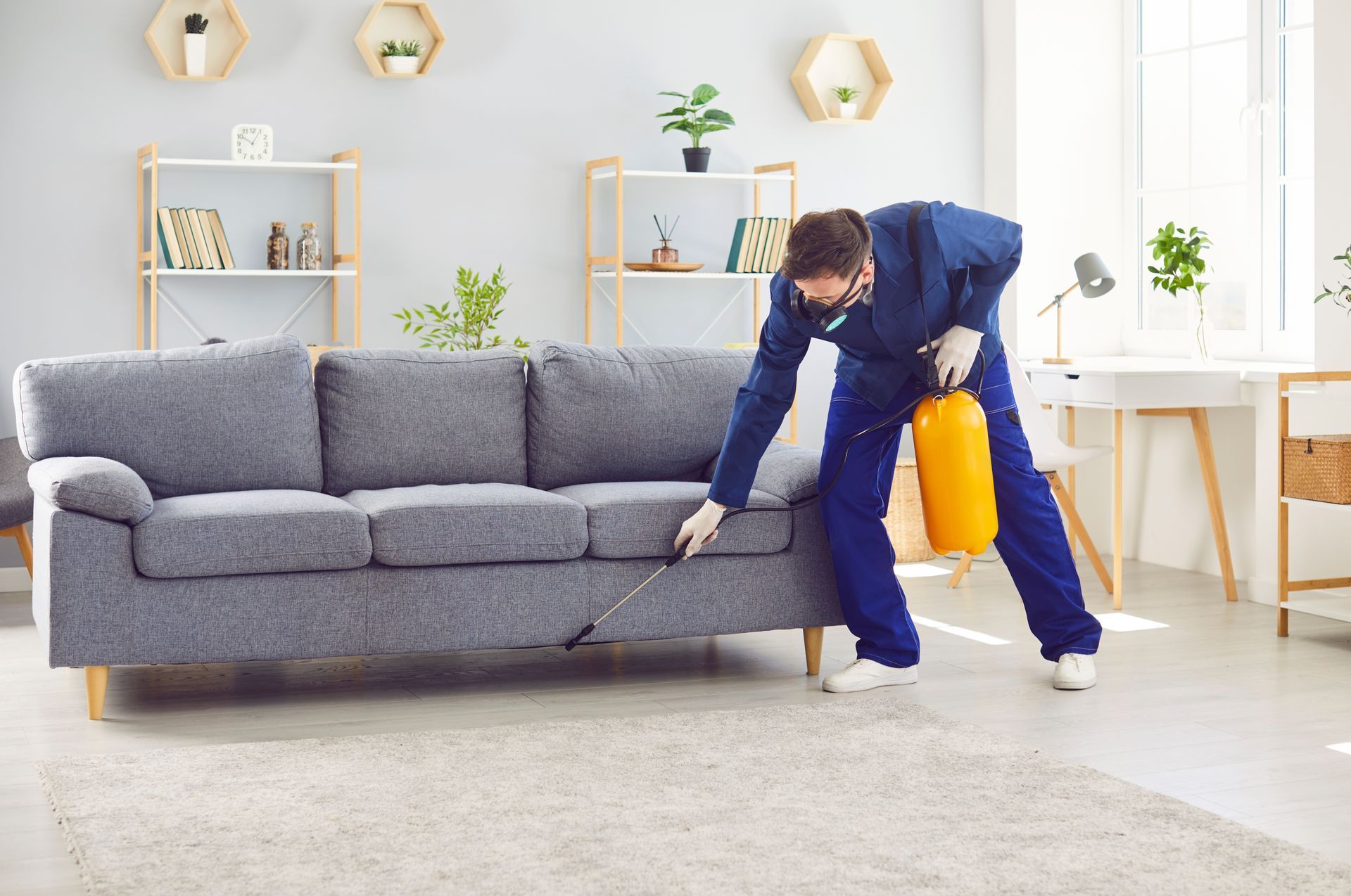 Pest control worker spraying sofa in a living room.
