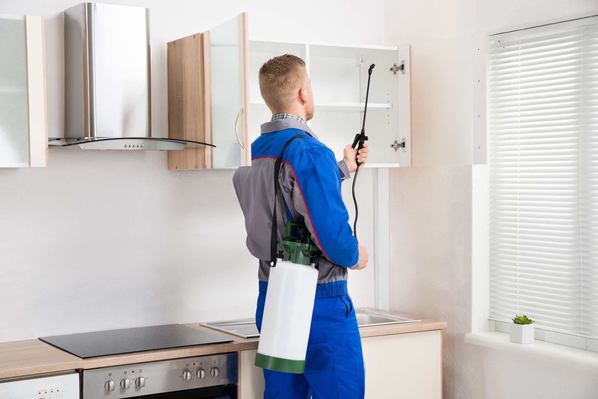 Pest control technician spraying inside a kitchen cabinet, wearing blue coveralls and a backpack sprayer.