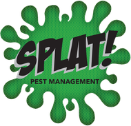 Splat Pest Management Logo