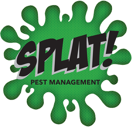 Splat pest management logo