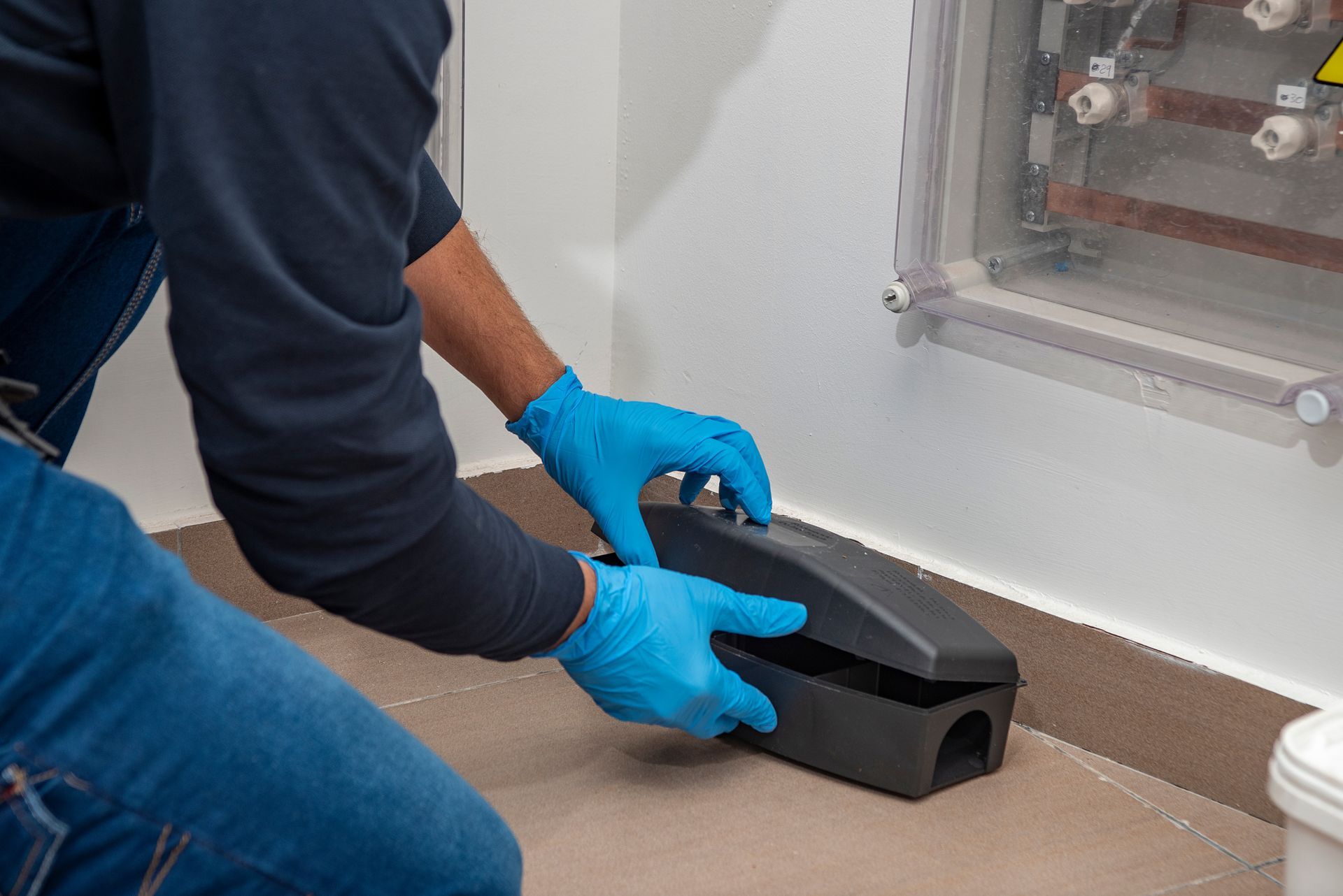 A man wearing blue gloves is putting a mouse trap in a room.