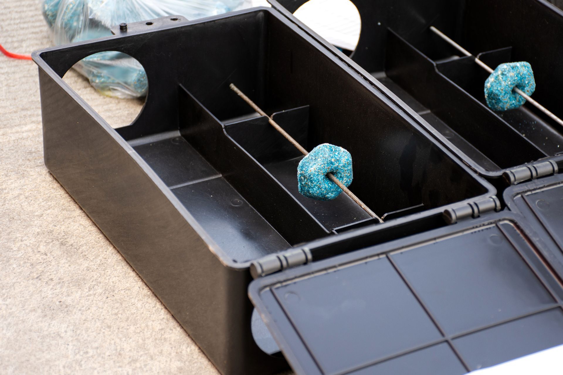A close up of a mouse trap with a blue item in it.