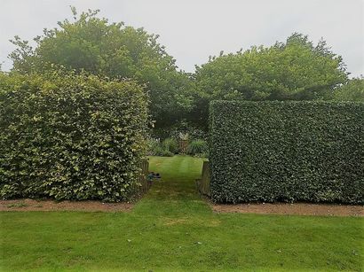 Hedge trimming garden services in Scarborough | Mundaka Tree Care