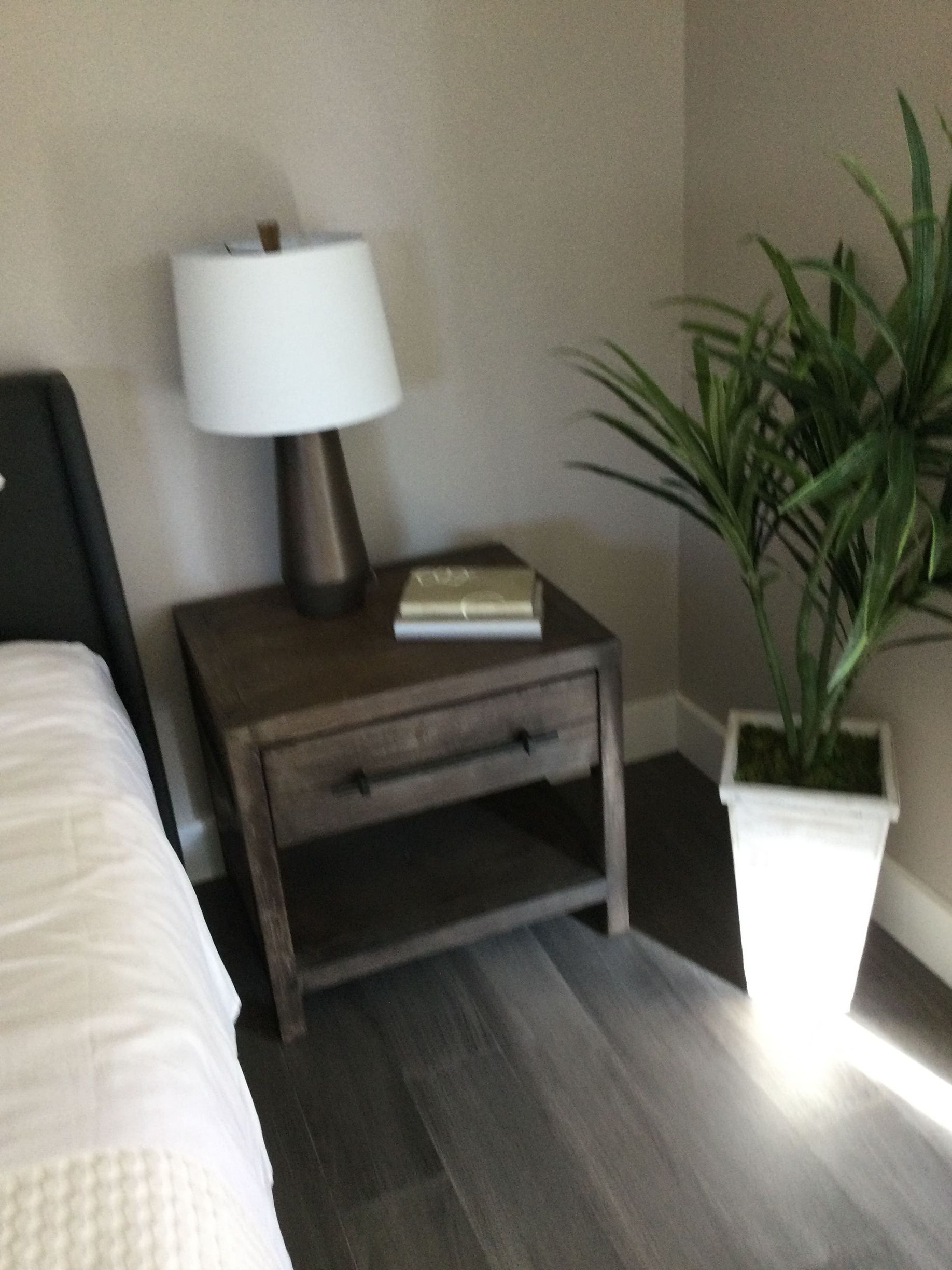A bedroom with a lamp on a nightstand and a potted plant