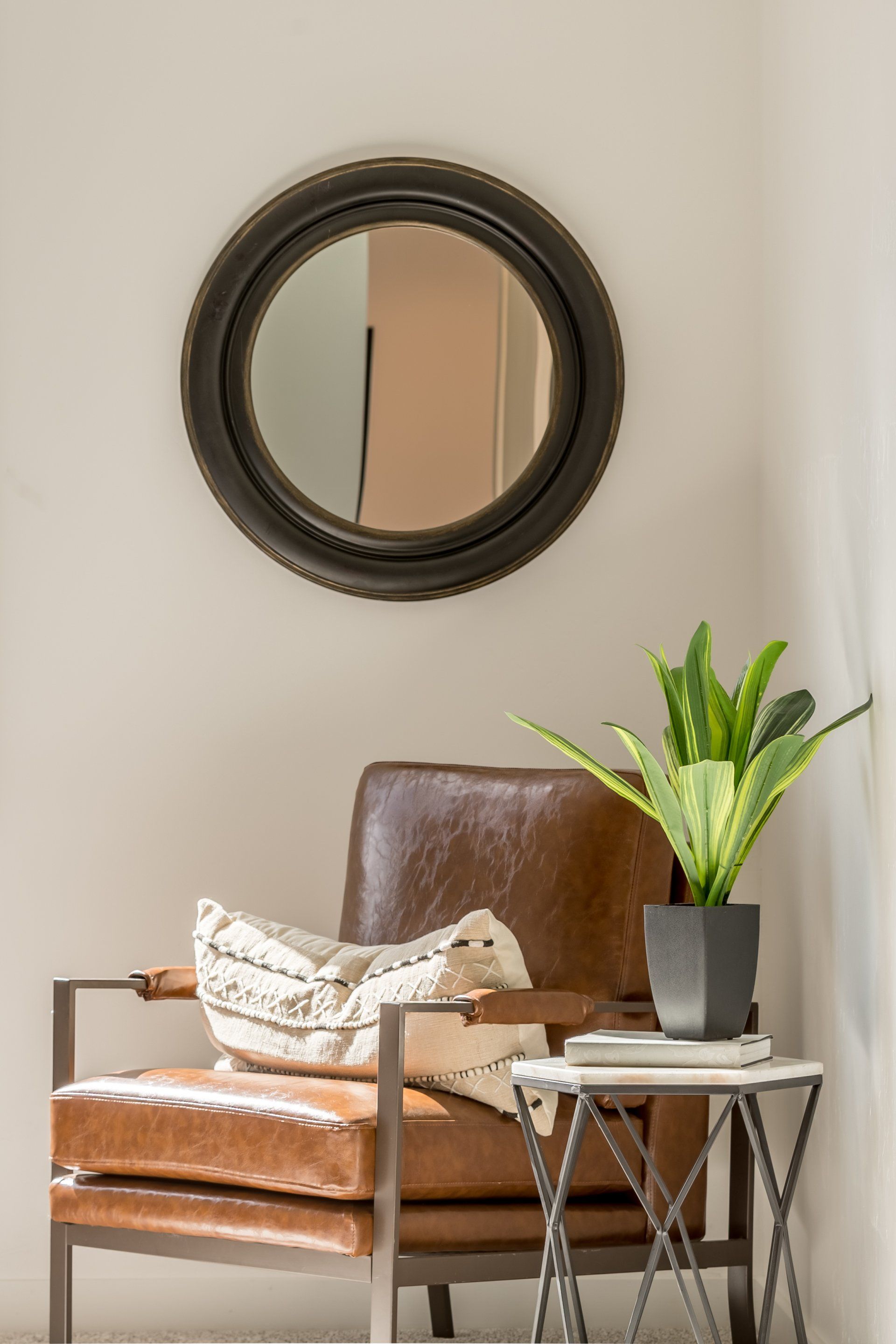 There is a chair and a plant in the corner of the room.