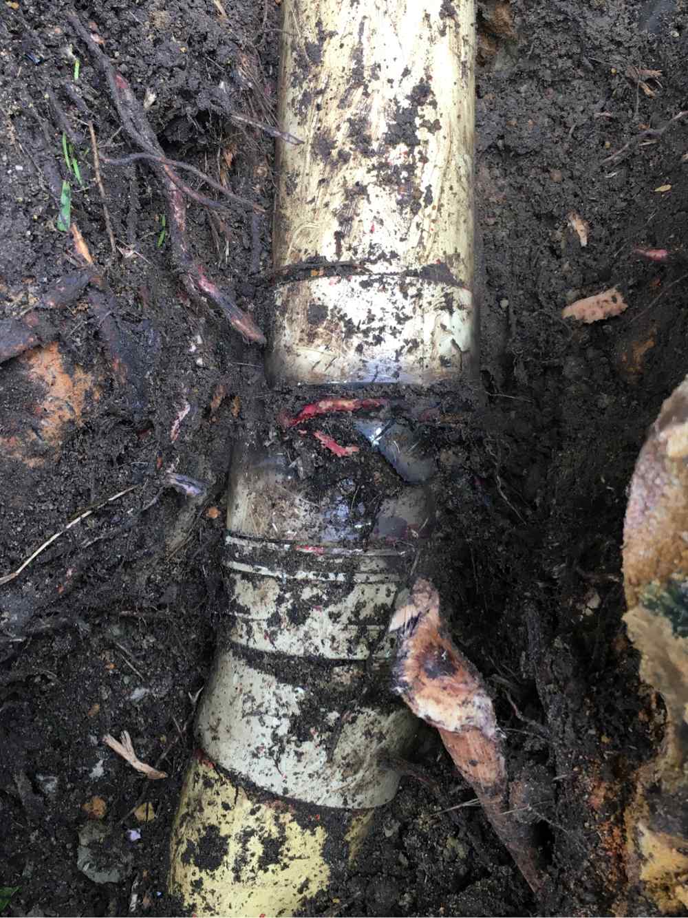 Broken Underground Pipe — Plumbers in Killarney Vale, NSW
