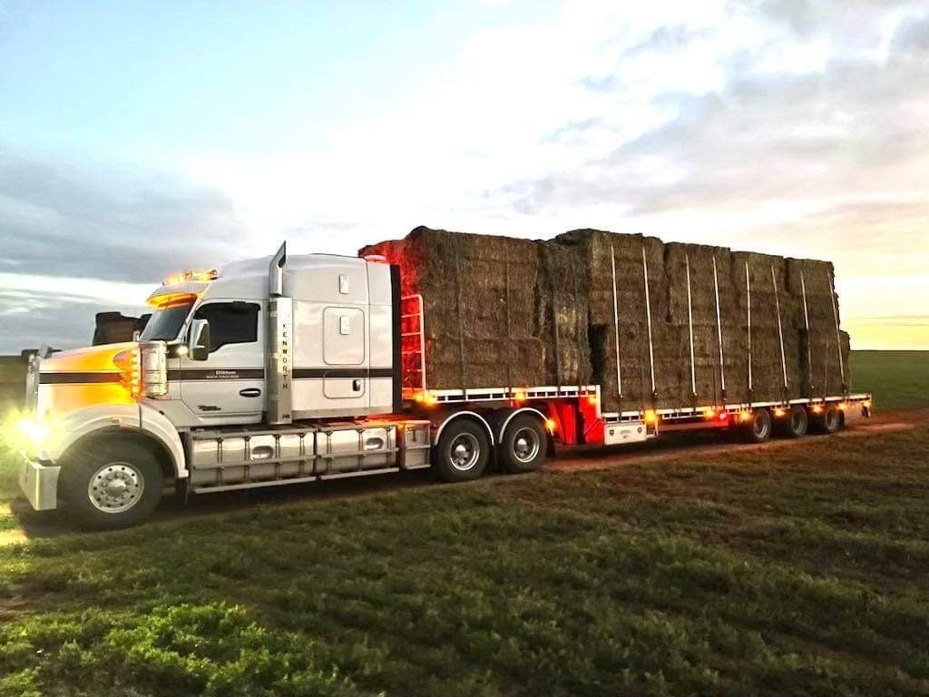 Ditton Bulk Haulage Gallery 07