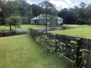 Residential fencing in Melville WA that needs replacing due to damage.