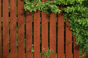 Naturally painted timber fence built for a residential backyard garden in Melville WA.