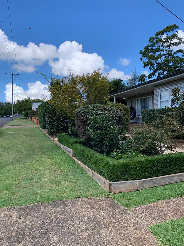 A house with a lush green lawn and bushes in front of it.