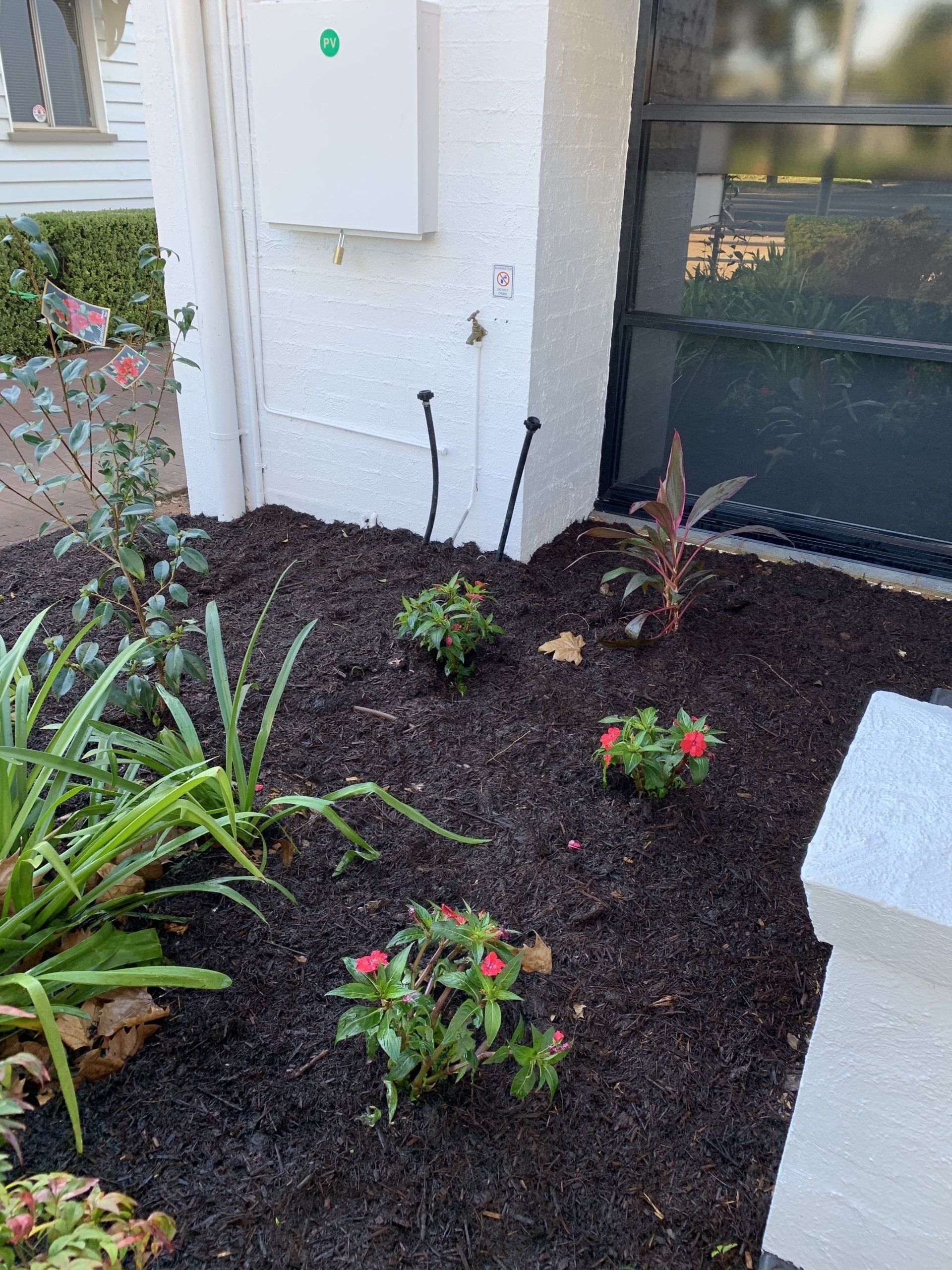 A garden with flowers and plants in front of a white building.