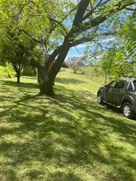 A truck is parked under a tree in a grassy field.