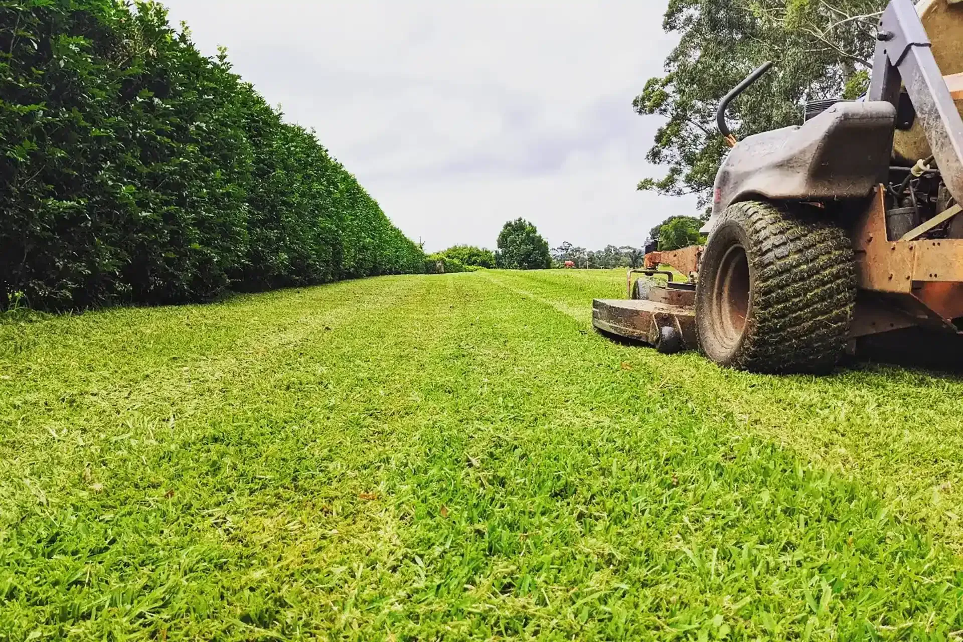 Acreage Mowing