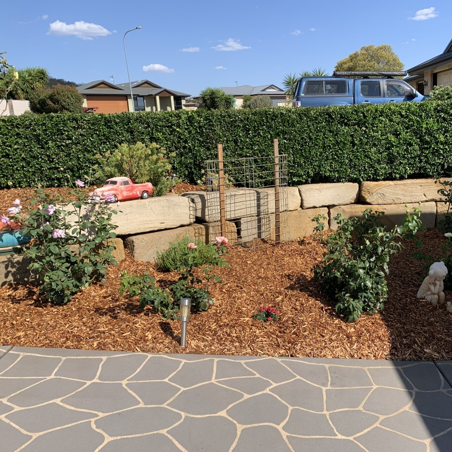 A garden with a blue ute in the background