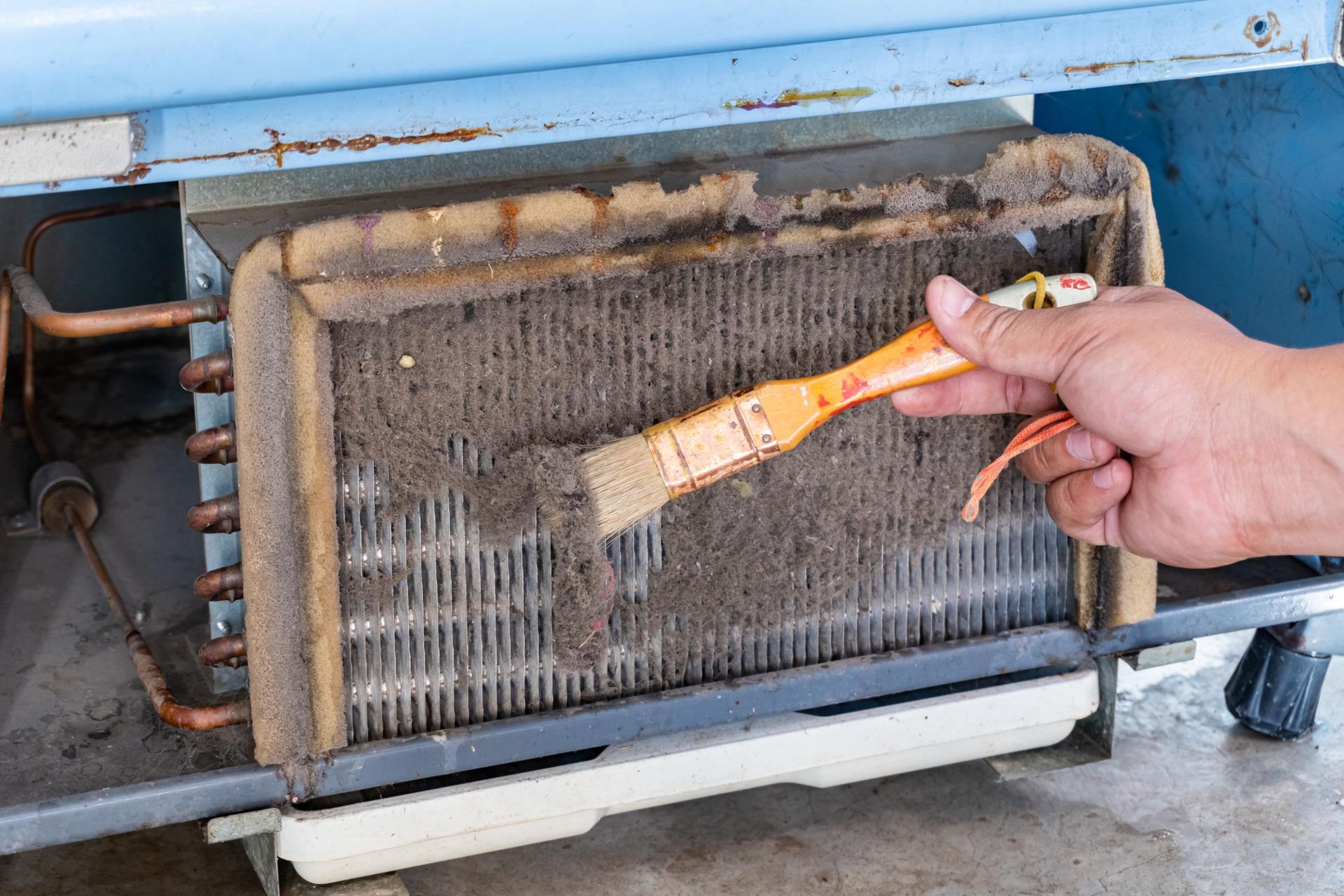 Hand brushing dust off refrigerator coils.
