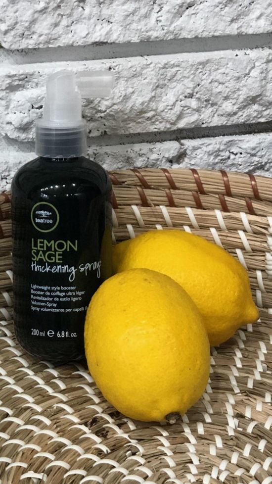 Lemon Sage Beside Two Lemon — Mechanicsburg, VA — Molto Bella Salon