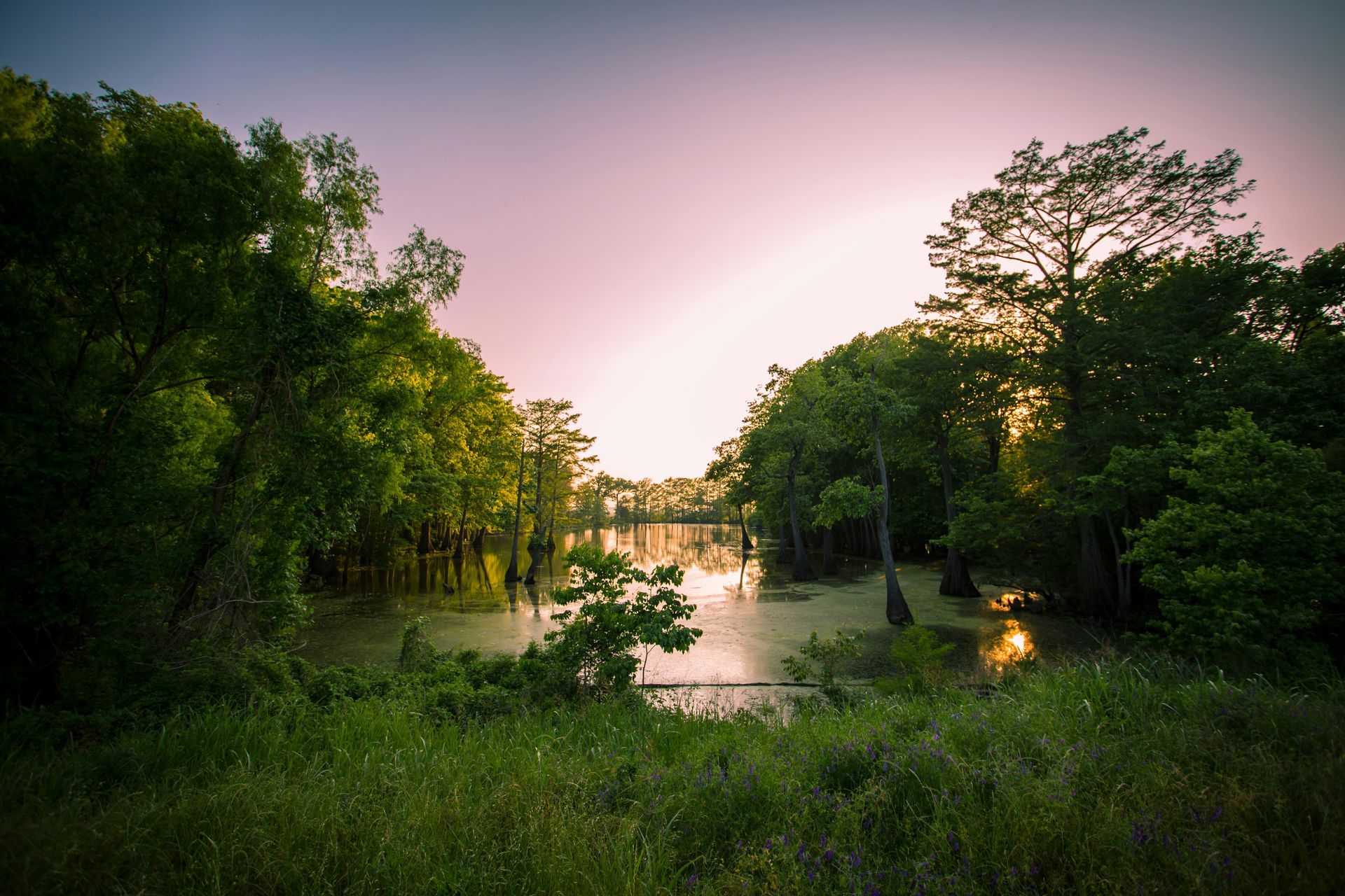 A lake surrounded by trees and grass at sunset
