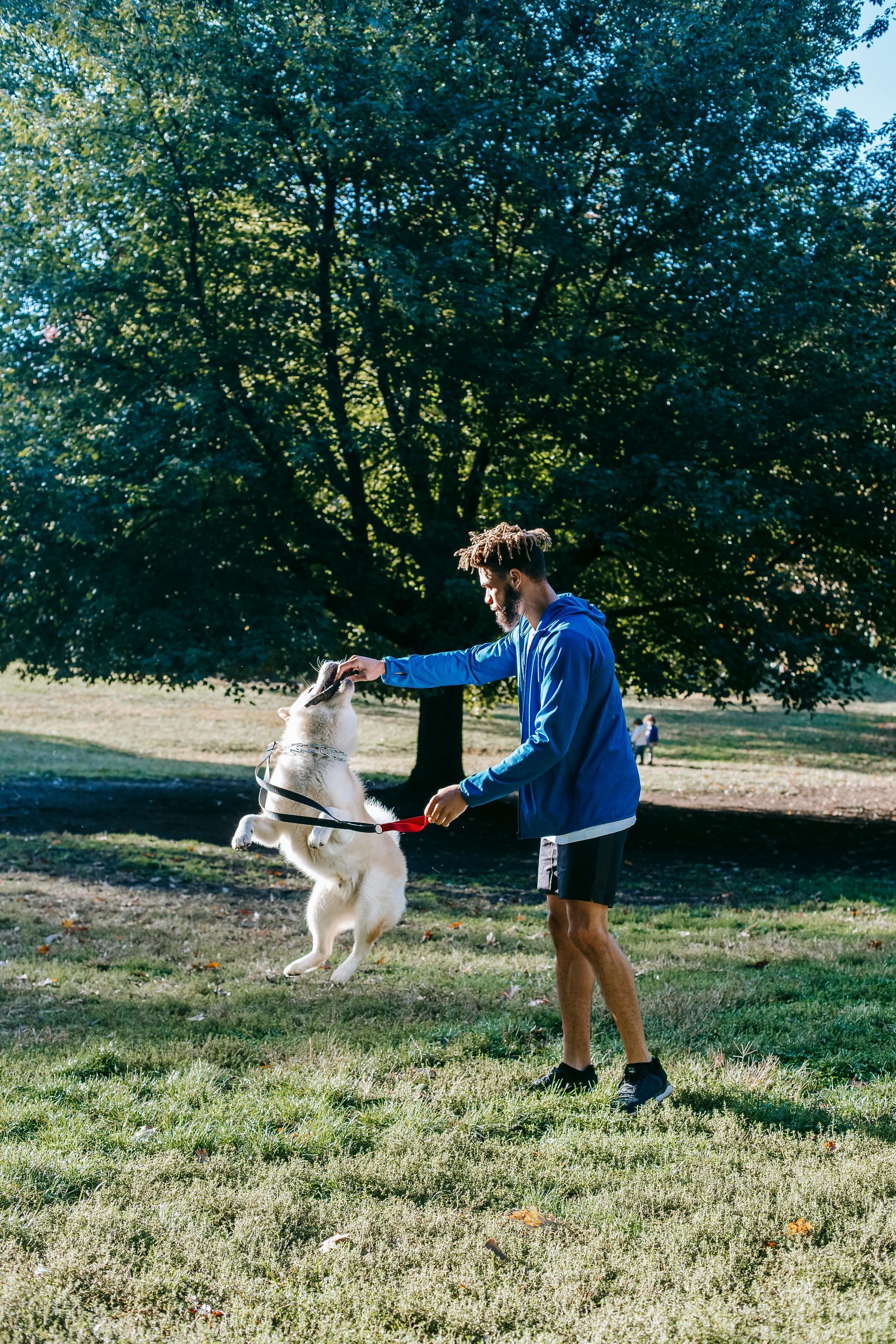 A man is playing with a dog in a park.