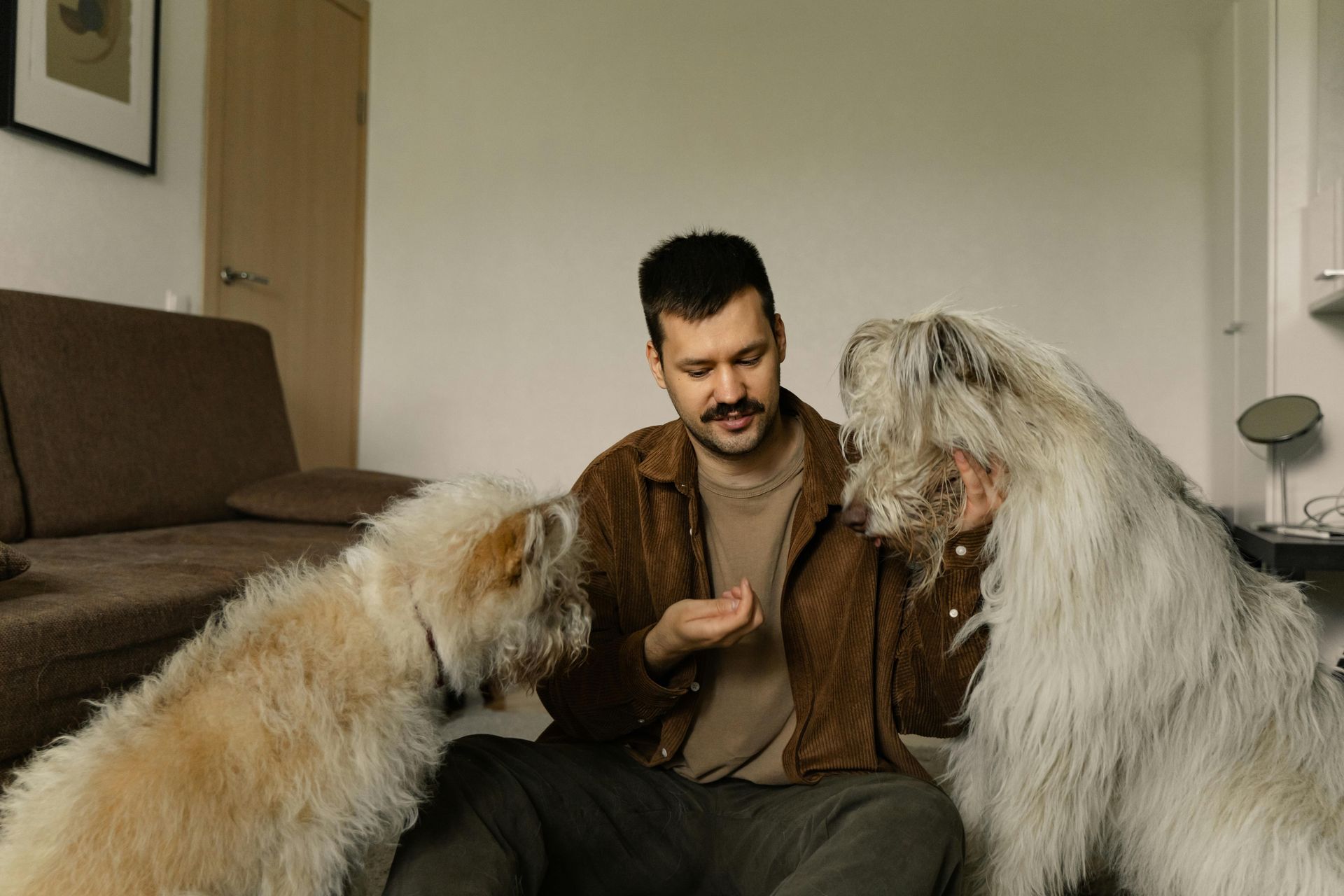 A man is sitting on the floor with two dogs.