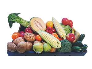 fruit and veg boxes