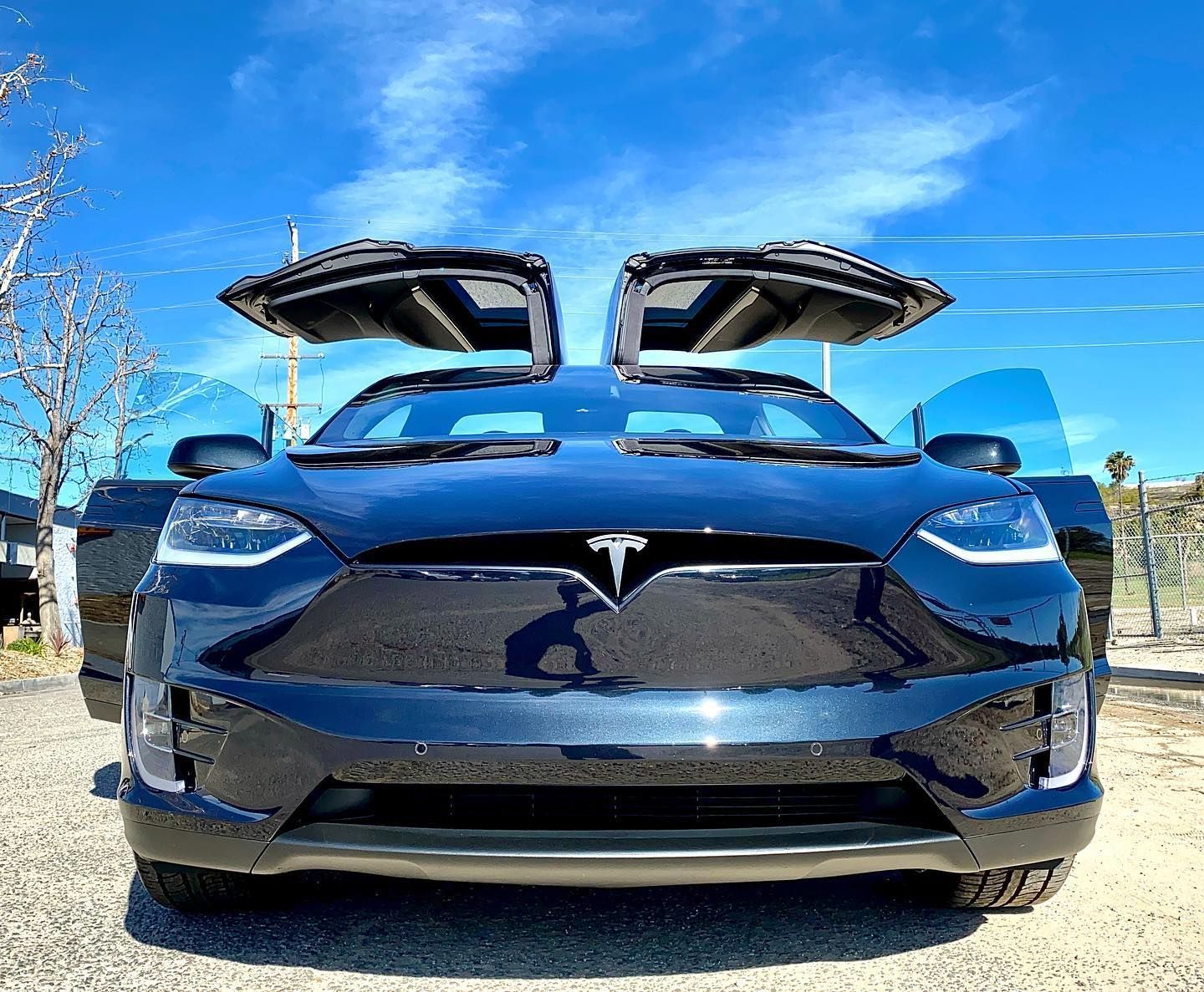 Tesla X Wings