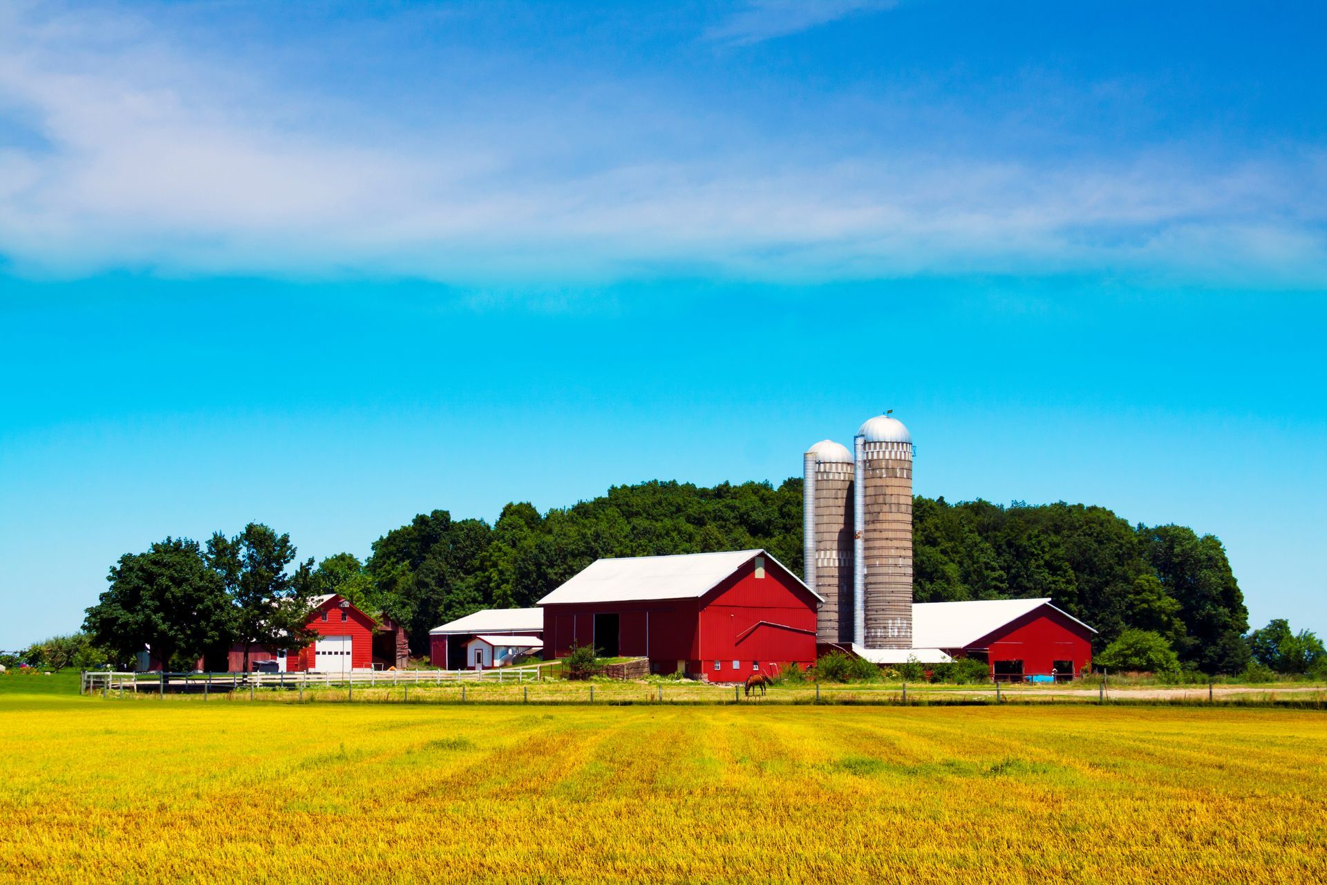 A farm with red barns and silos on a sunny day