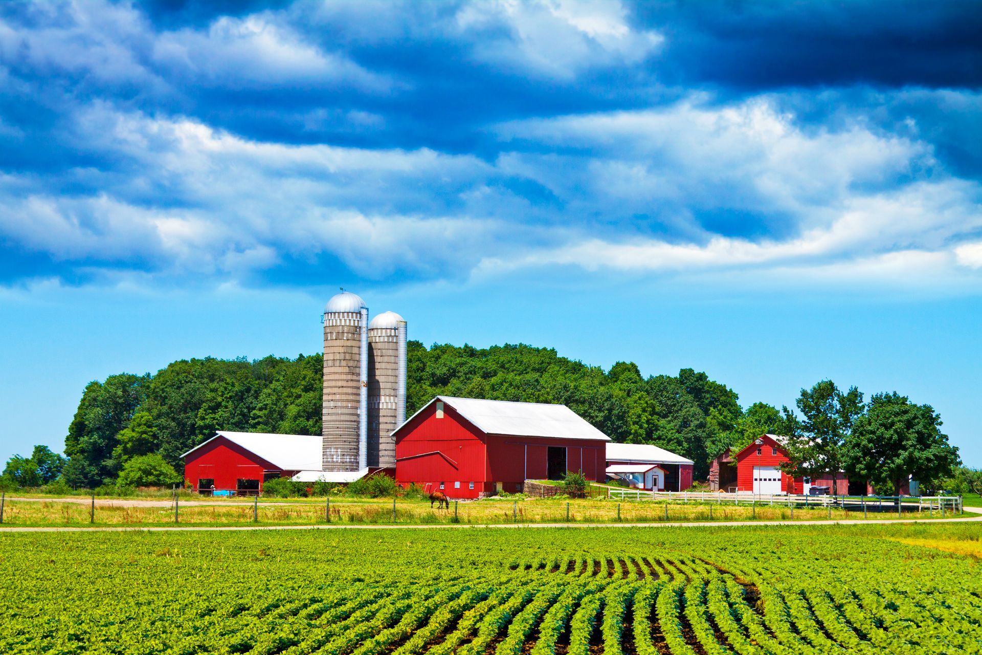A farm with a red barn and silos in the background
