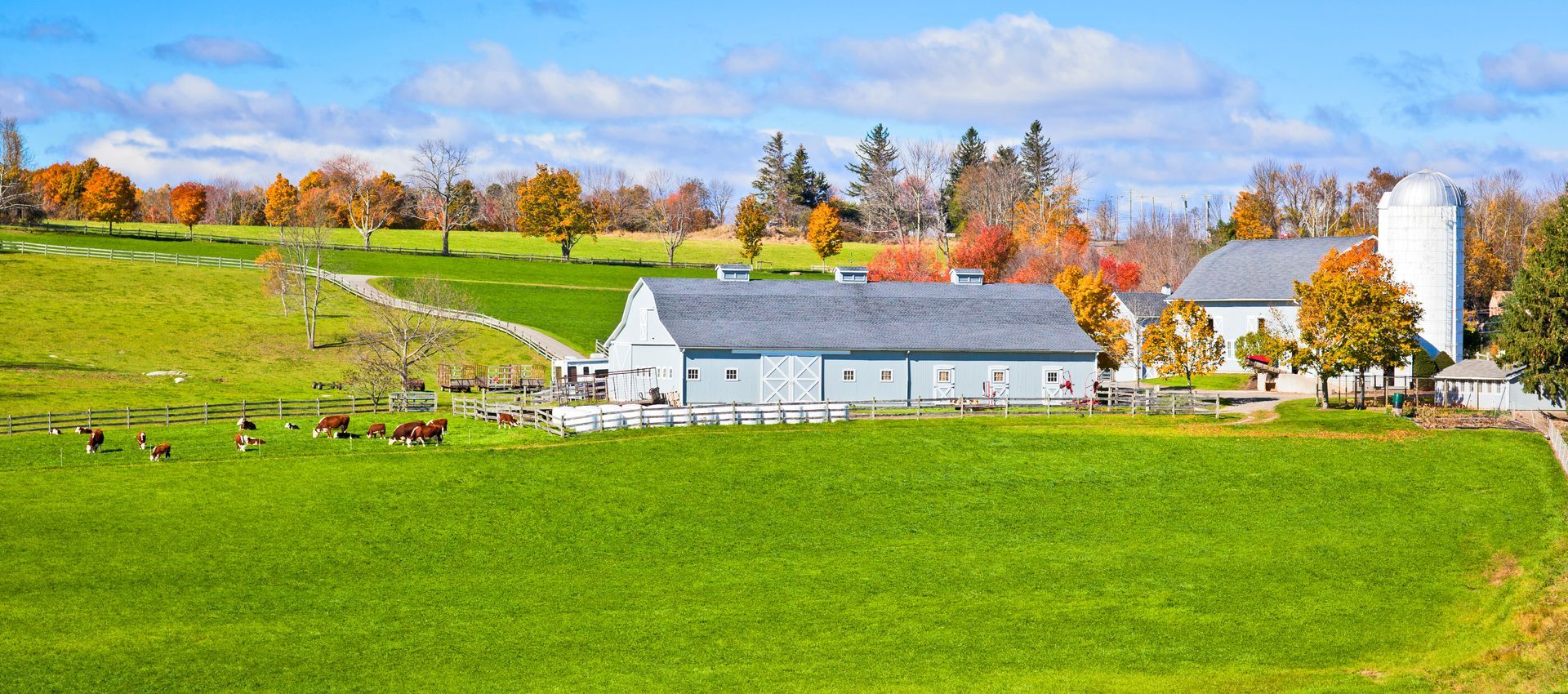 A farm with a barn and a silo in the middle of a grassy field.