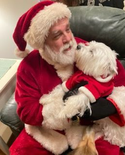 Santa Claus holding a small dog in a Santa outfit; both are smiling.