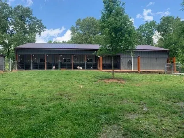 A dog kennel with several fenced areas and dogs inside. Green grass and trees surround the building.